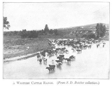 Nebraska Cattle Ranch